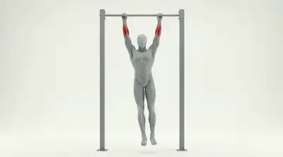 Form animation: Dead Hang